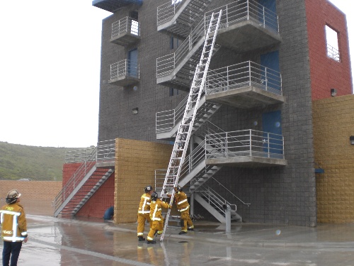 Company Ladder Evolutions 2